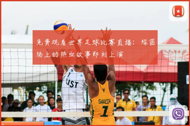 免费观看世界足球比赛直播：绿茵场上的热血故事即刻上演